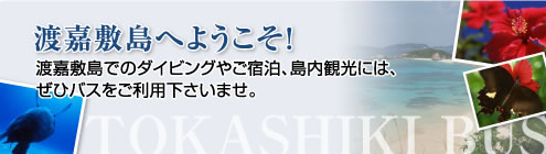 渡嘉敷島へようこそ！ 渡嘉敷島でのダイビングやご宿泊、島内観光には、ぜひバスをご利用下さいませ。